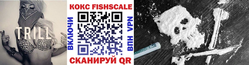 Cocaine Fish Scale  где купить   мега маркетплейс  Кашира 