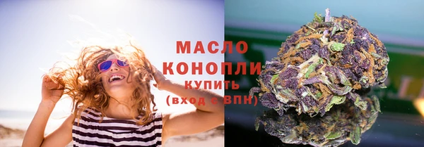 дмт Новозыбков