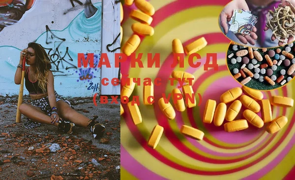 дмт Новозыбков
