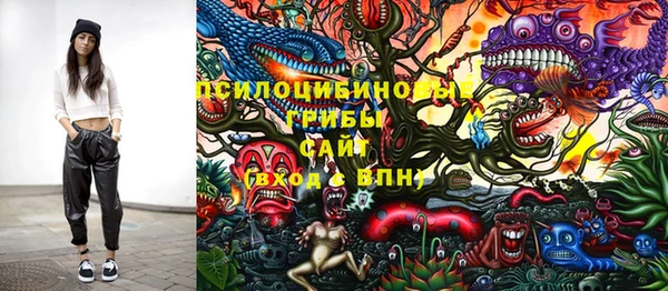 дмт Новозыбков
