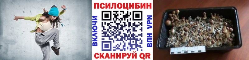 Галлюциногенные грибы Magic Shrooms  Кашира 