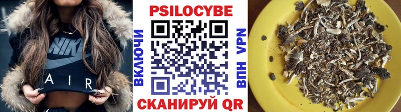 Галлюциногенные грибы Psilocybe Кашира