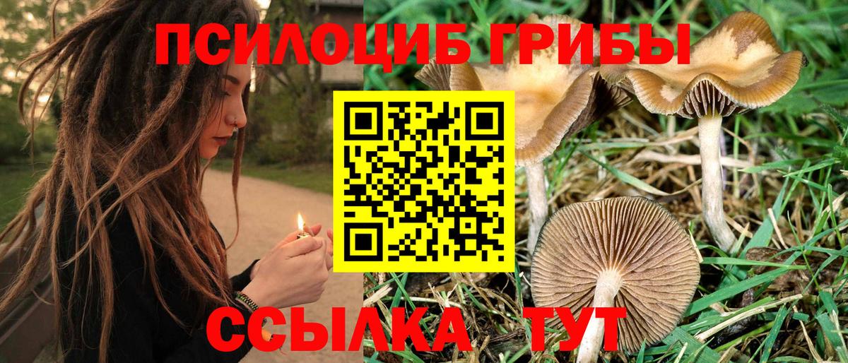 Галлюциногенные грибы Magic Shrooms  Вход с VPN  Кашира 